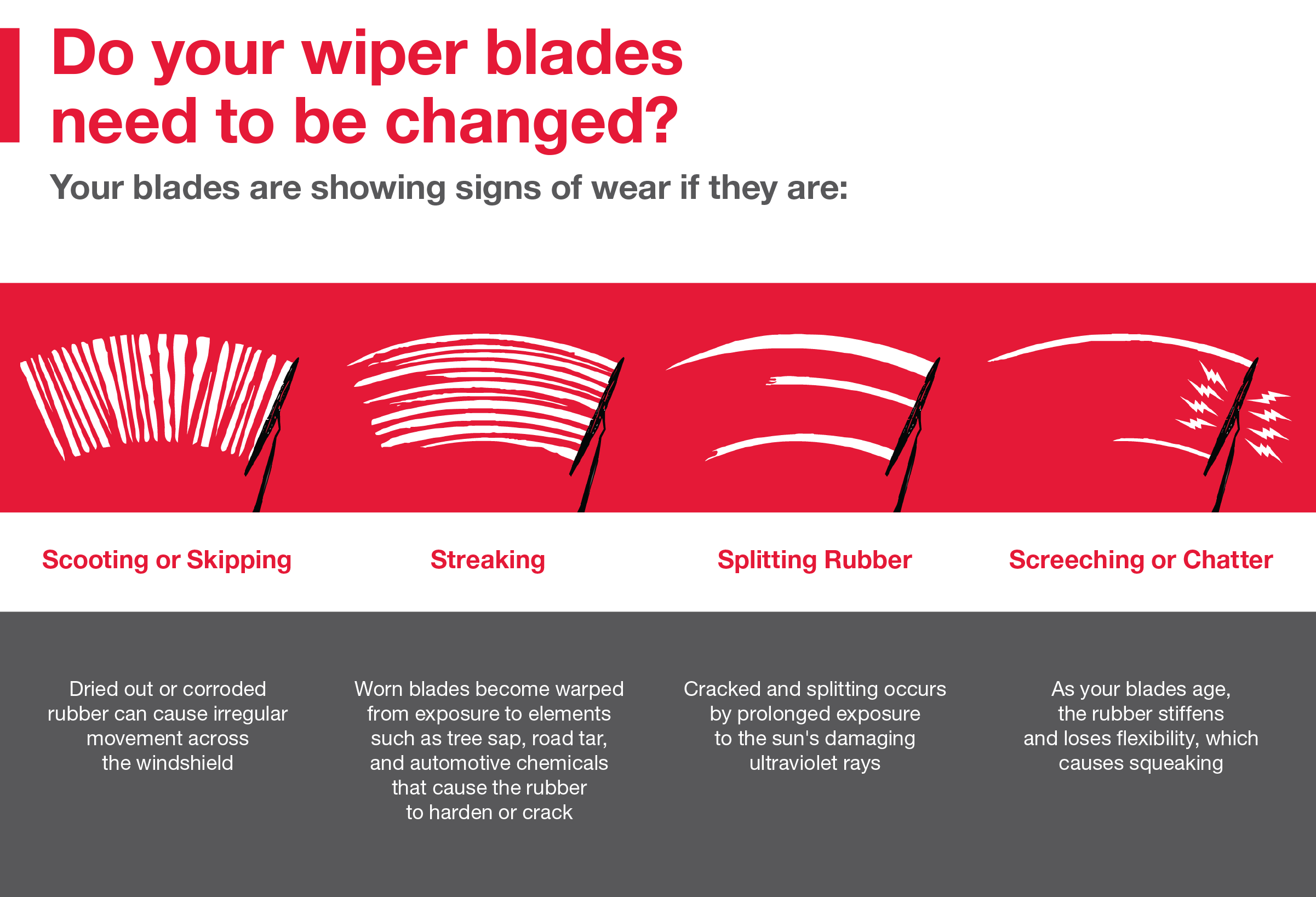 Do your wiper blades need to be changed | Titus-Will Toyota in Tacoma WA
