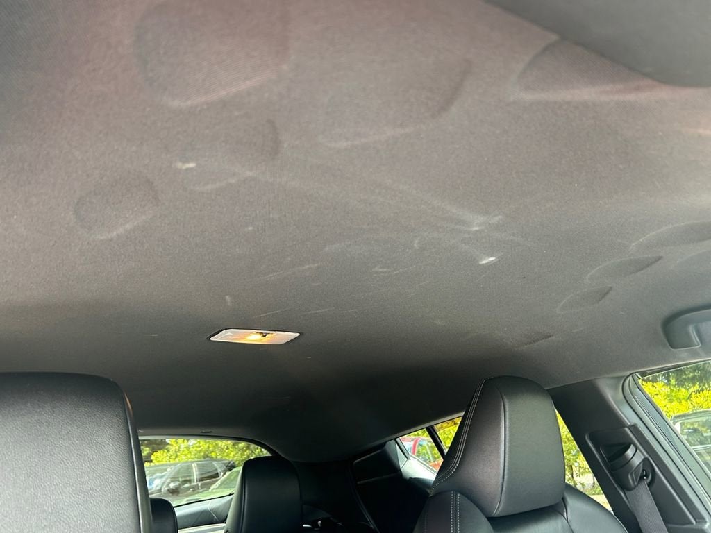 2019 Toyota C-HR Base
