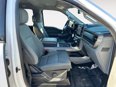 2024 Ford F-150 XLT Hybrid