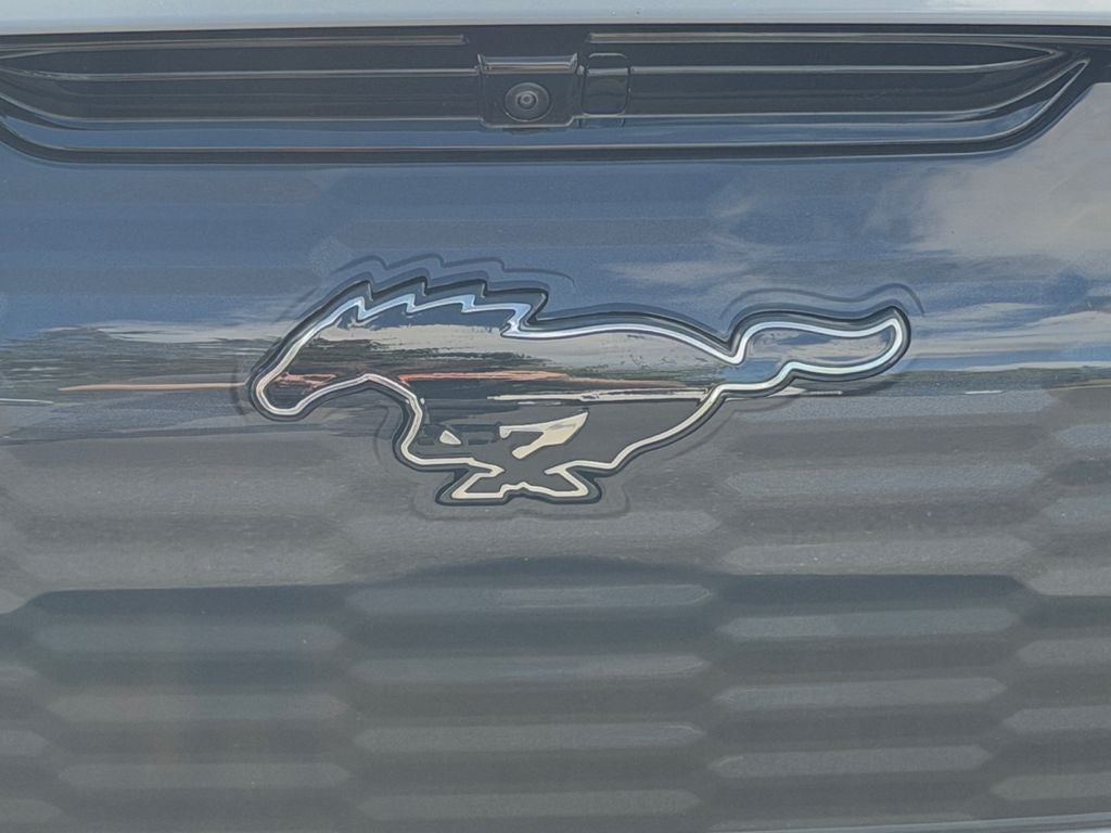 2021 Ford Mustang Mach-E GT