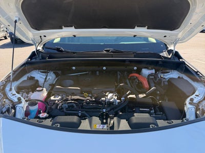 2021 Toyota Venza XLE