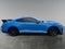 2022 Ford Mustang Shelby GT500