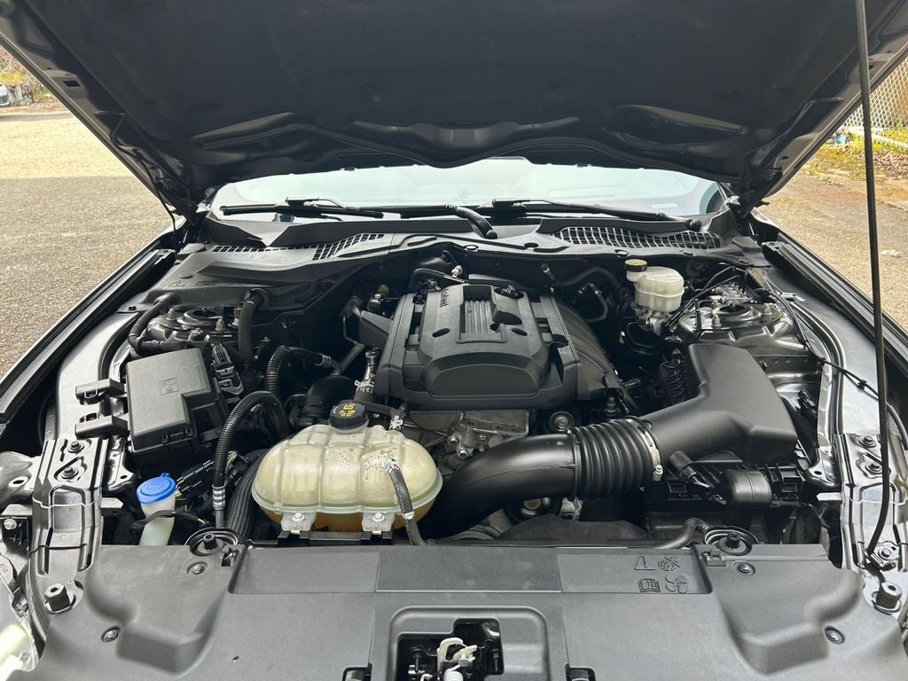 2020 Ford Mustang EcoBoost