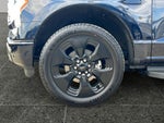 2025 Ford F-150 Lightning Platinum
