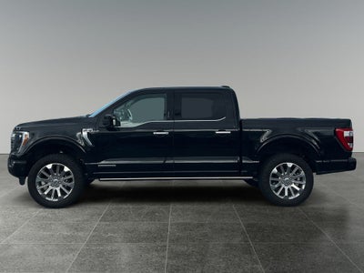 2023 Ford F-150 Limited