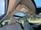 2025 Toyota Camry XLE Hybrid AWD