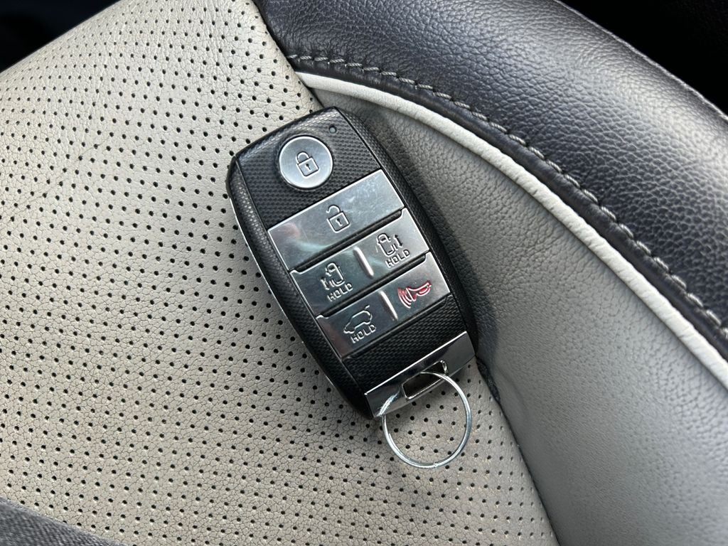 2018 Kia Sedona SX Limited