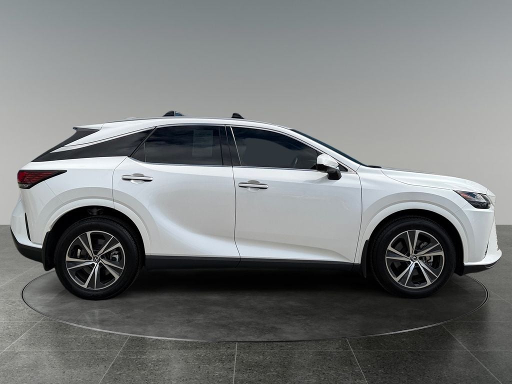 2023 Lexus RX 350 - Photo 10