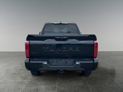 2023 Toyota TUNDRA 4X4 Platinum