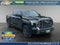 2023 Toyota Tundra Hybrid Platinum
