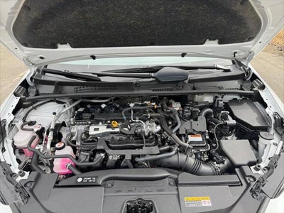 2023 Toyota Prius XLE