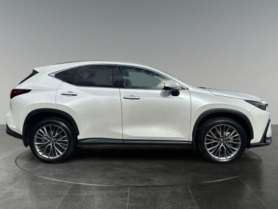 2025 Lexus NX 350 350 Premium