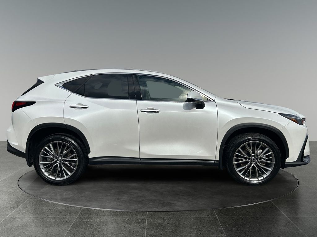 2025 Lexus NX 350 350 Premium