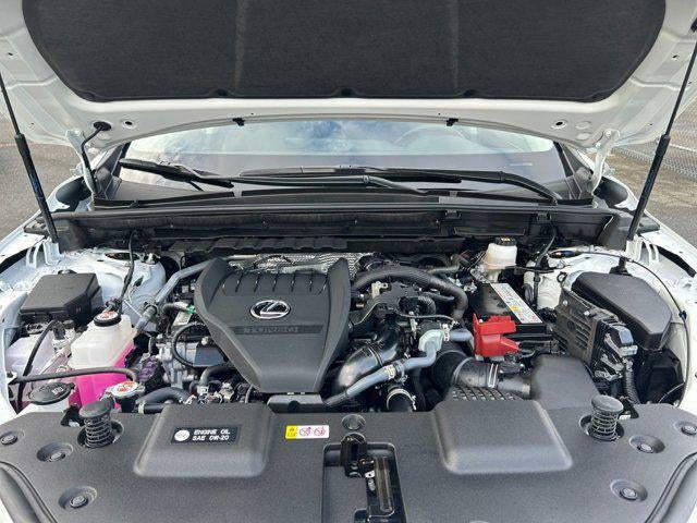 2025 Lexus NX 350 350 Premium