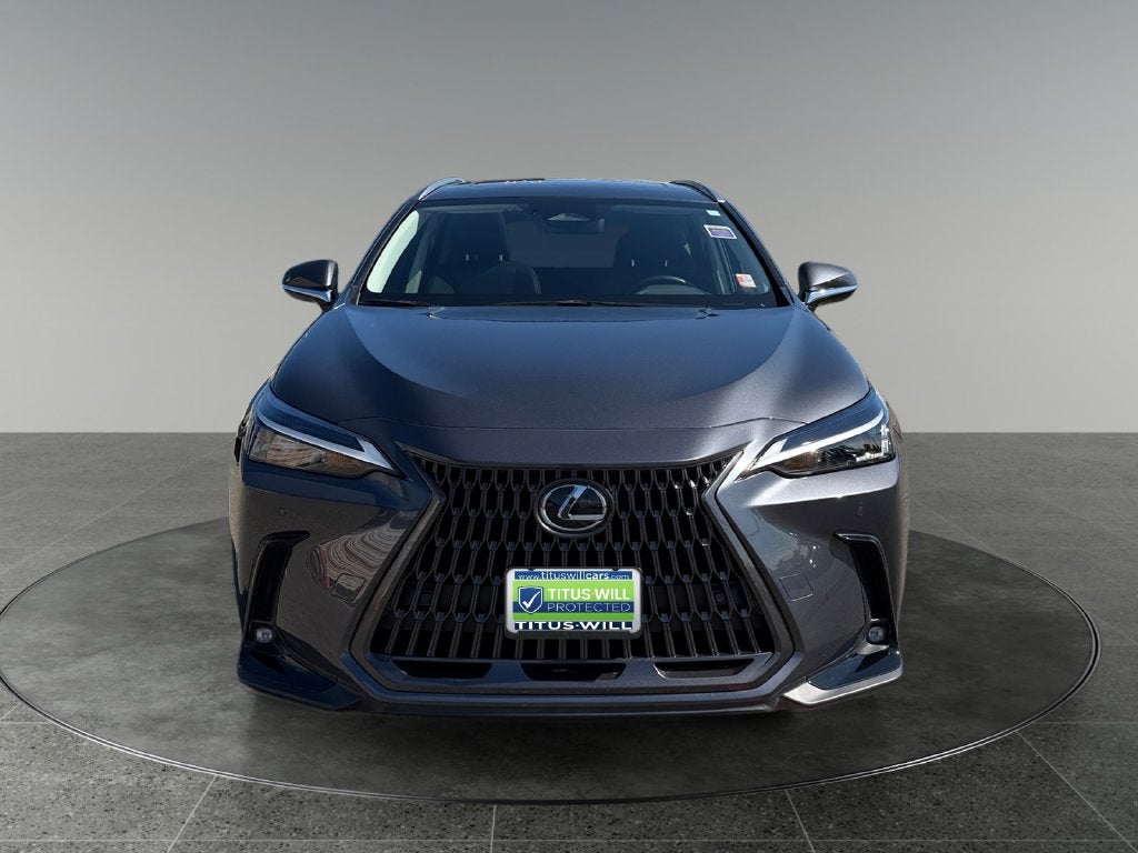 2024 Lexus NX 350h Premium