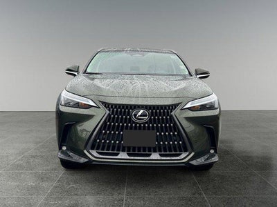 2025 Lexus NX 350h Premium