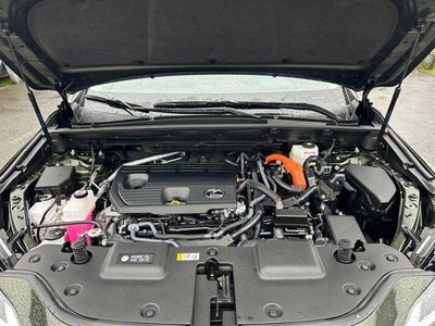 2025 Lexus NX 350h Premium