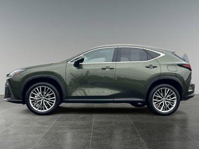 2025 Lexus NX 350h Premium
