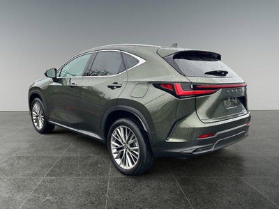 2025 Lexus NX 350h Premium