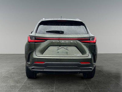 2025 Lexus NX 350h Premium