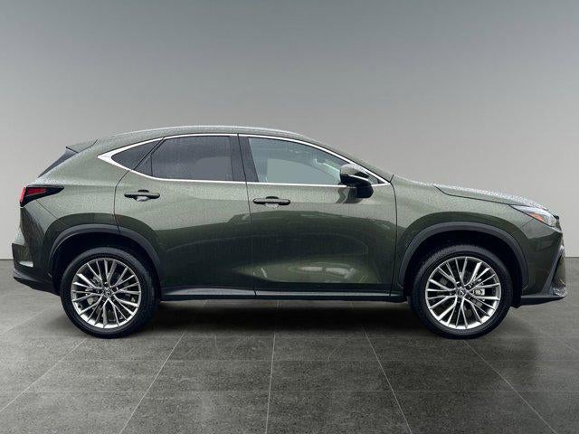 2025 Lexus NX 350h Premium