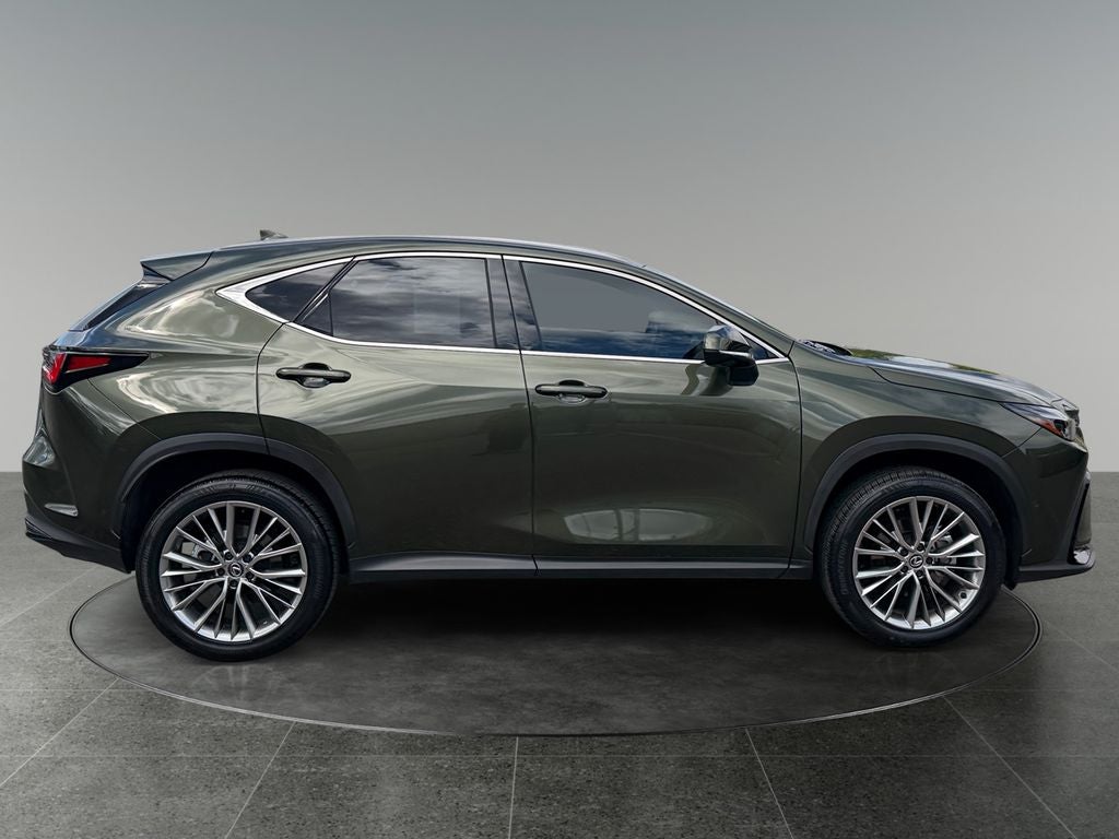 2024 Lexus NX HYBRID 350h Luxury