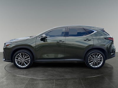 2024 Lexus NX HYBRID 350h Luxury