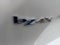 2023 Toyota bZ4X XLE