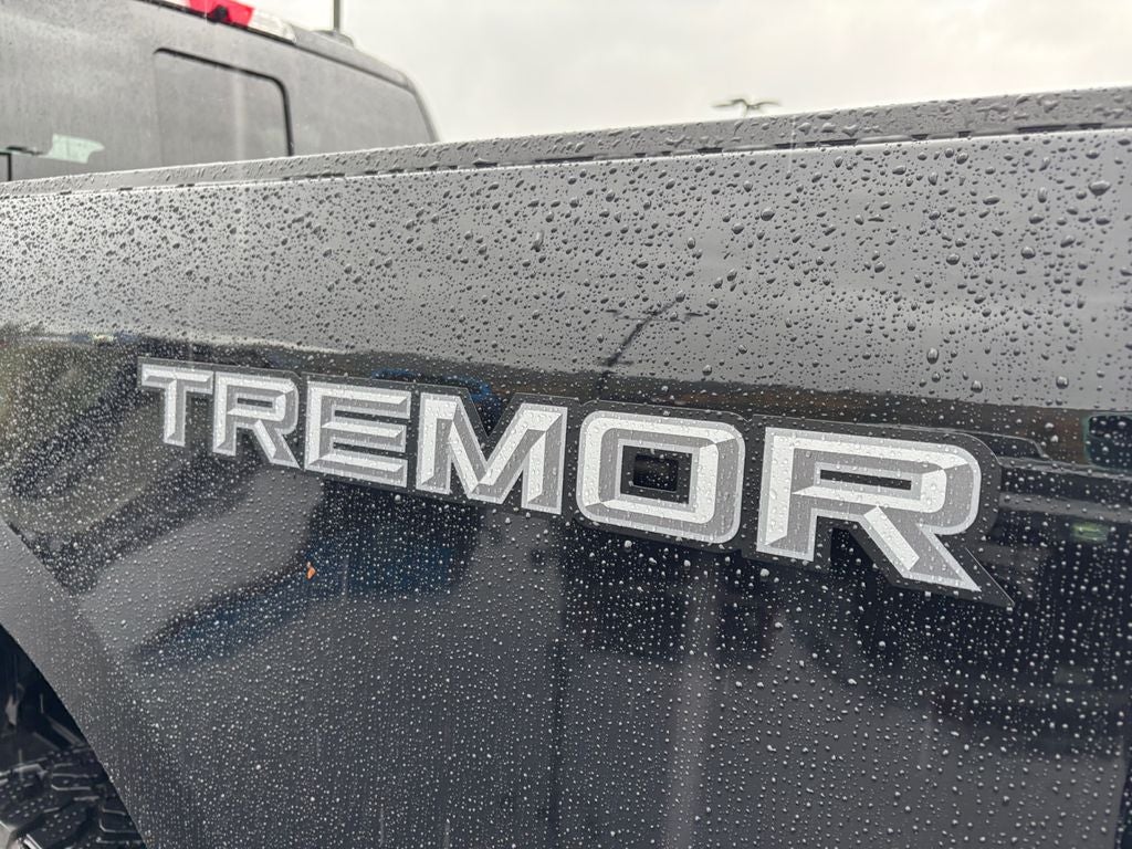 2025 Ford F-350SD Platinum